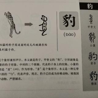 24豹——畫說漢字/圖解《說文解字》/1000個漢字的故事/東漢許慎