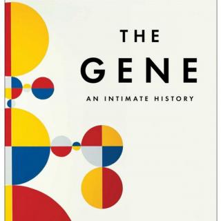 第一季18%《基因》