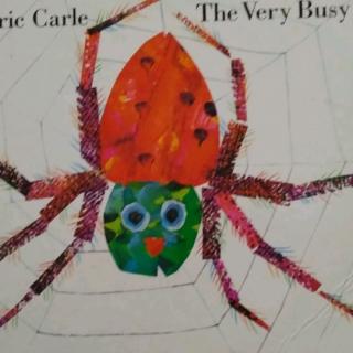 the very busy spider