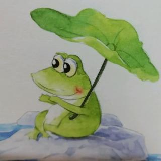 《小青蛙🐸和绿色的伞》