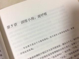 Path 5 训练小狗：观呼吸