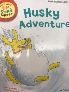 Husky Adventure