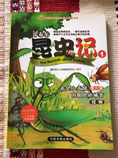 169.夏天妈妈→昆虫记4《六亲不认的捕猎者》