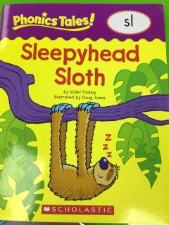 20180815 Sleepyhead Sloth