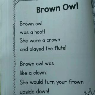 Brown Owl