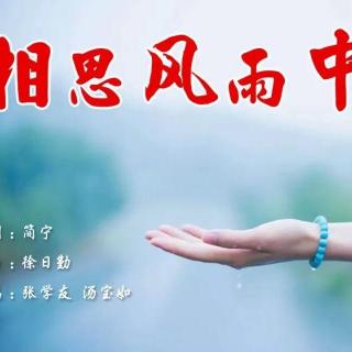 《相思风雨中》国语版 香港乐坛合唱歌代表之一 清风明月翻唱