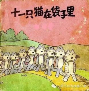 《11只猫在袋子里》