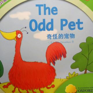 The Odd  Pet