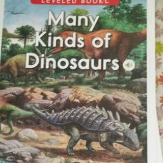 many kinds of dinosaurs