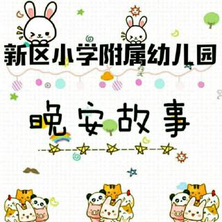 新区小学附属幼儿园·晚安故事《阁楼上的猫和月牙上的女孩》