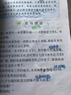 18慈母深情