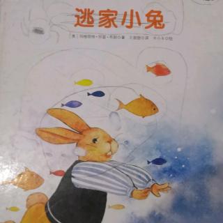 【故事73】供销幼儿园晚安故事《逃家小兔》