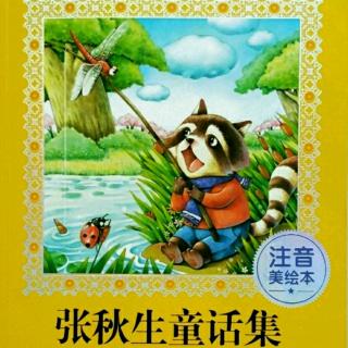 夜晚,在森林里(800)下一期:张秋生童话集46.