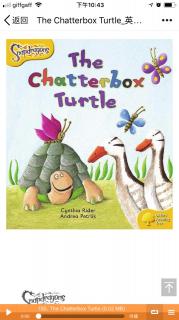 The chatterbox turtle