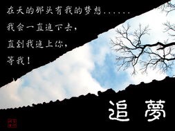 【绿叶诗苑】第十期现代同题诗展播       主播：碧海青天（来自FM1866291)