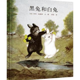#年度盛典#绘本故事#黑兔和白兔