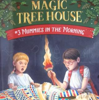 Magic Tree House 3-9