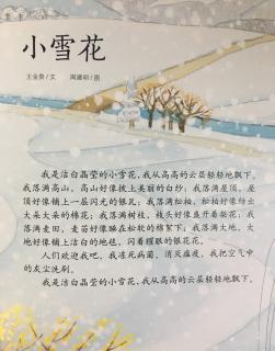 小雪花