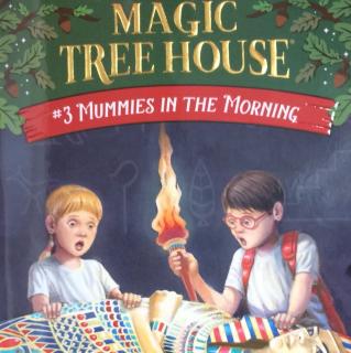 Magic Tree House 3-10