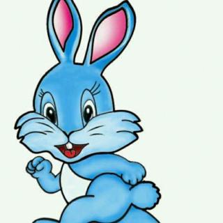 爱挑食的小白兔