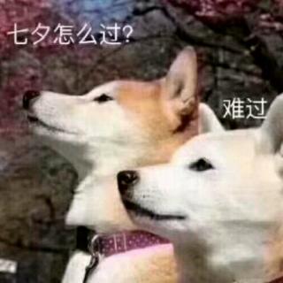 七夕，致自己