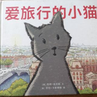 爱旅行的小猫