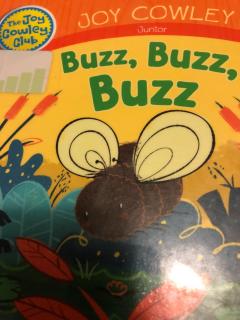 Buzz , Buzz , Buzz