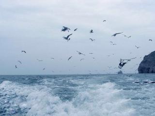 《态度》海上，问茶