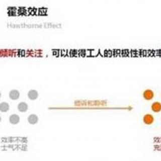 【支招心理学】证明你是“社会人”的【霍桑效应】