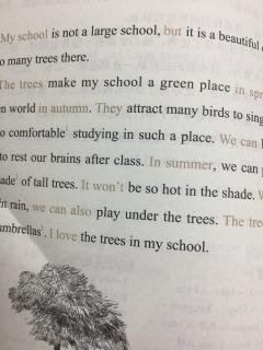 The trees in my school