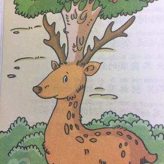 【艺童星姜老师讲故事】吹牛大王历险记～长在鹿头上的樱桃树