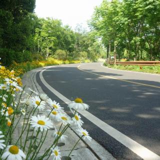 龙应台：山路