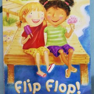 Flip  Flop