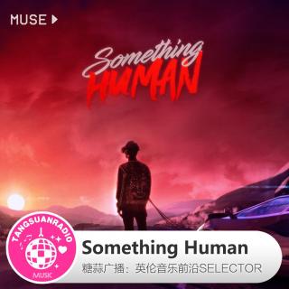 糖蒜爱音乐之The Selector：Something Human