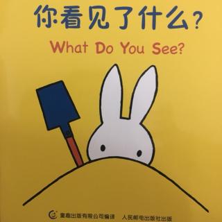 你看见了什么