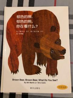 173.夏天妈妈→《棕色的熊，棕色的熊，你在看什么？》