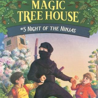 Magic Tree House 5-6