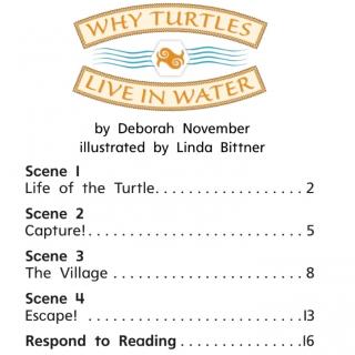 Why Turtles Live In Water
