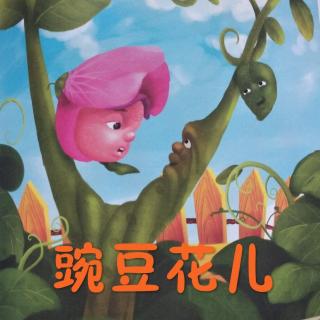 陈毅轩讲绘本故事《豌豆花儿》