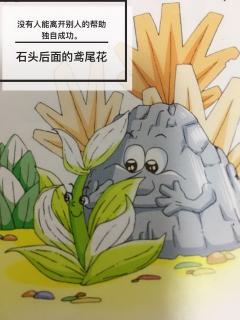 👩🏼‍🏫文艺老师讲故事⭐️勤勉上进篇《石头后面的鸢尾花》