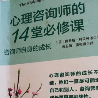 心理咨询师的14堂必修课7咨询师的情感