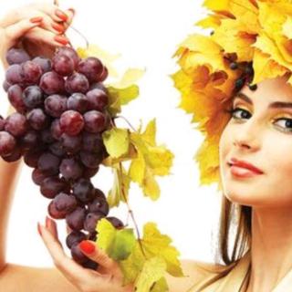 常见16种红葡萄品种都什么味呢？
