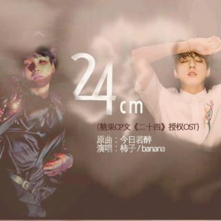 24CM（Cover Suran / CHANGMO）.