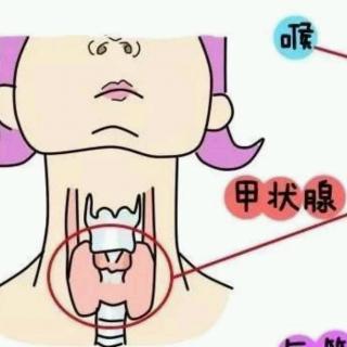 甲状腺激素对脂肪代谢和对蛋白质代谢的影响是什么？