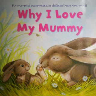 419 英文原版绘本系列-Why I Love My Mummy
