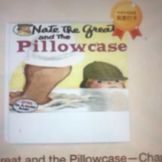 Nate the Great and the Pillowcase Chapter-3