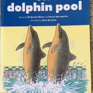 The dolphin pool