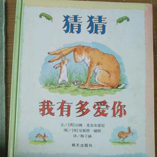 绘本故事《猜猜我有多爱你》