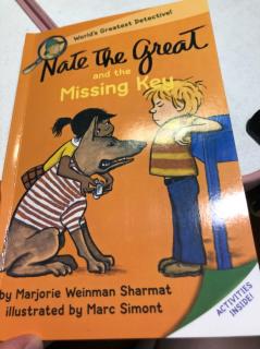 nate the great and the missing key