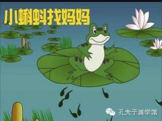 口才宝🐸语商乐园💤晚安故事【78 小蝌蚪找妈妈🐸】